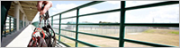 MOTOTRBO™: 1 Million Strong MOTOTRBO™: 1 Million Strong