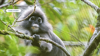 Singapore wildlife organisation chooses Motorola Solutions