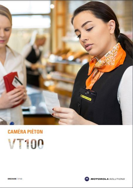 VT100 Brochure