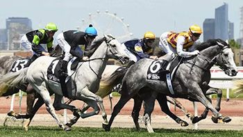 Victoria Racing Club become proactive with Avigilon solution