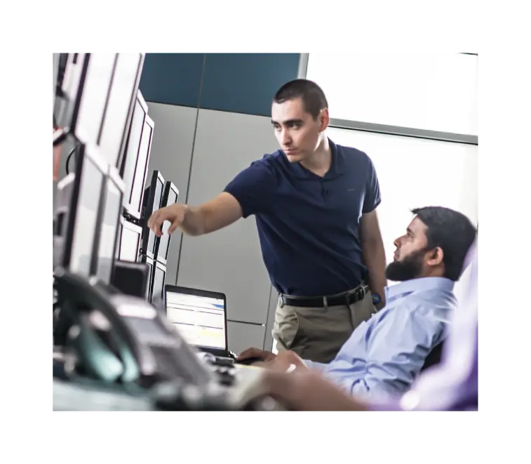 TETRA systems services