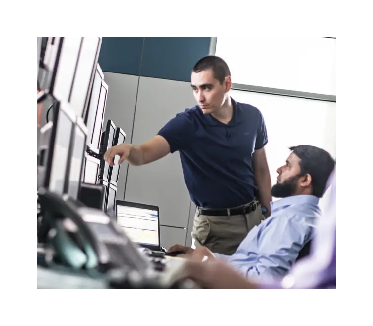TETRA systems services