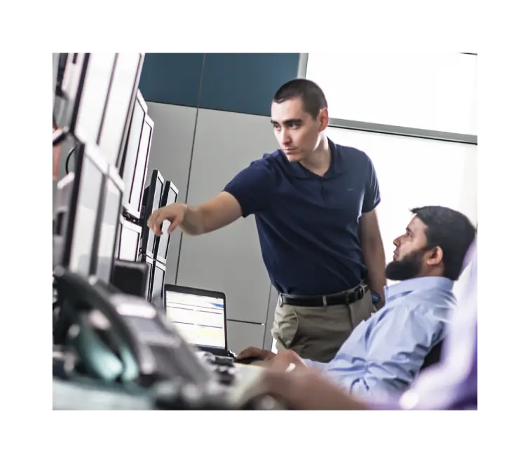 TETRA systems services