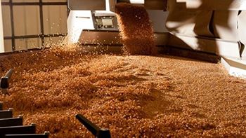 Kazakhstan Malting plant deploys MOTOTRBO for worker safety