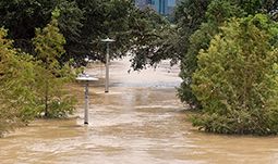 Hurricane Harvey Houston TX