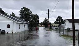 Hurricane Florence