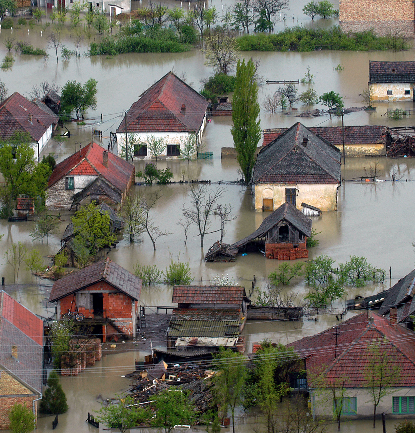 Disaster Management