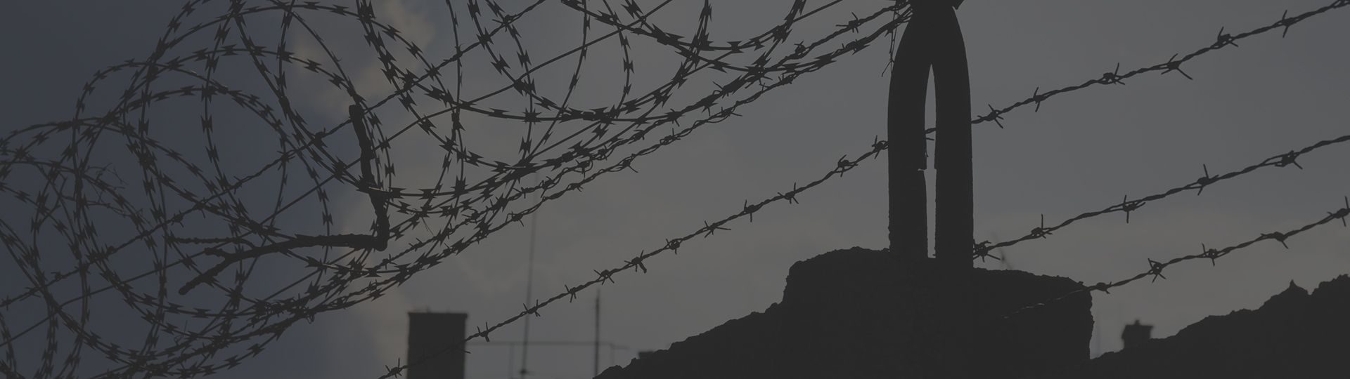 gray background with infographic image
