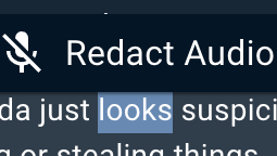 VideoManager Audio Redaction