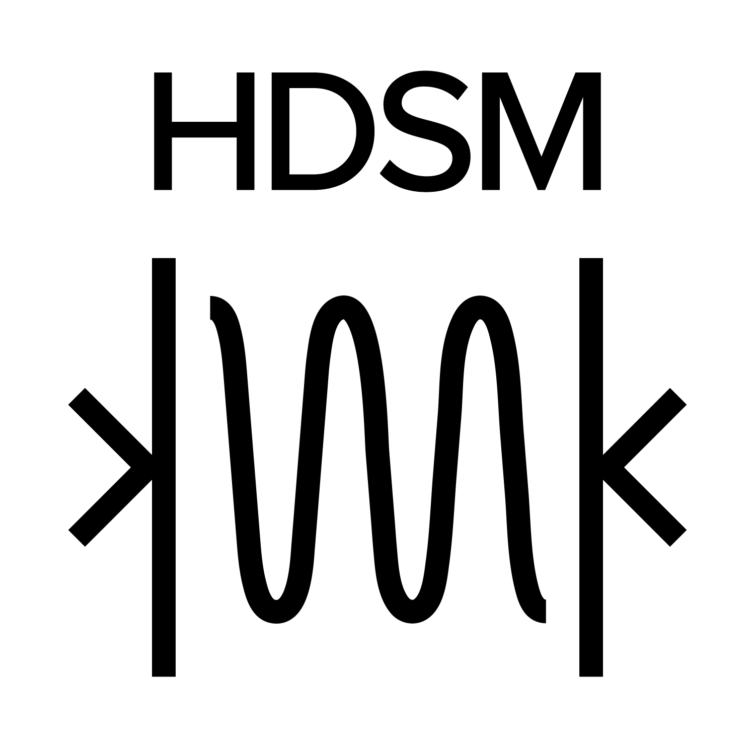 TECNOLOGÍA HDSM™