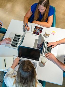 People working together with laptops