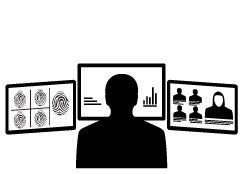 Crime Analyst