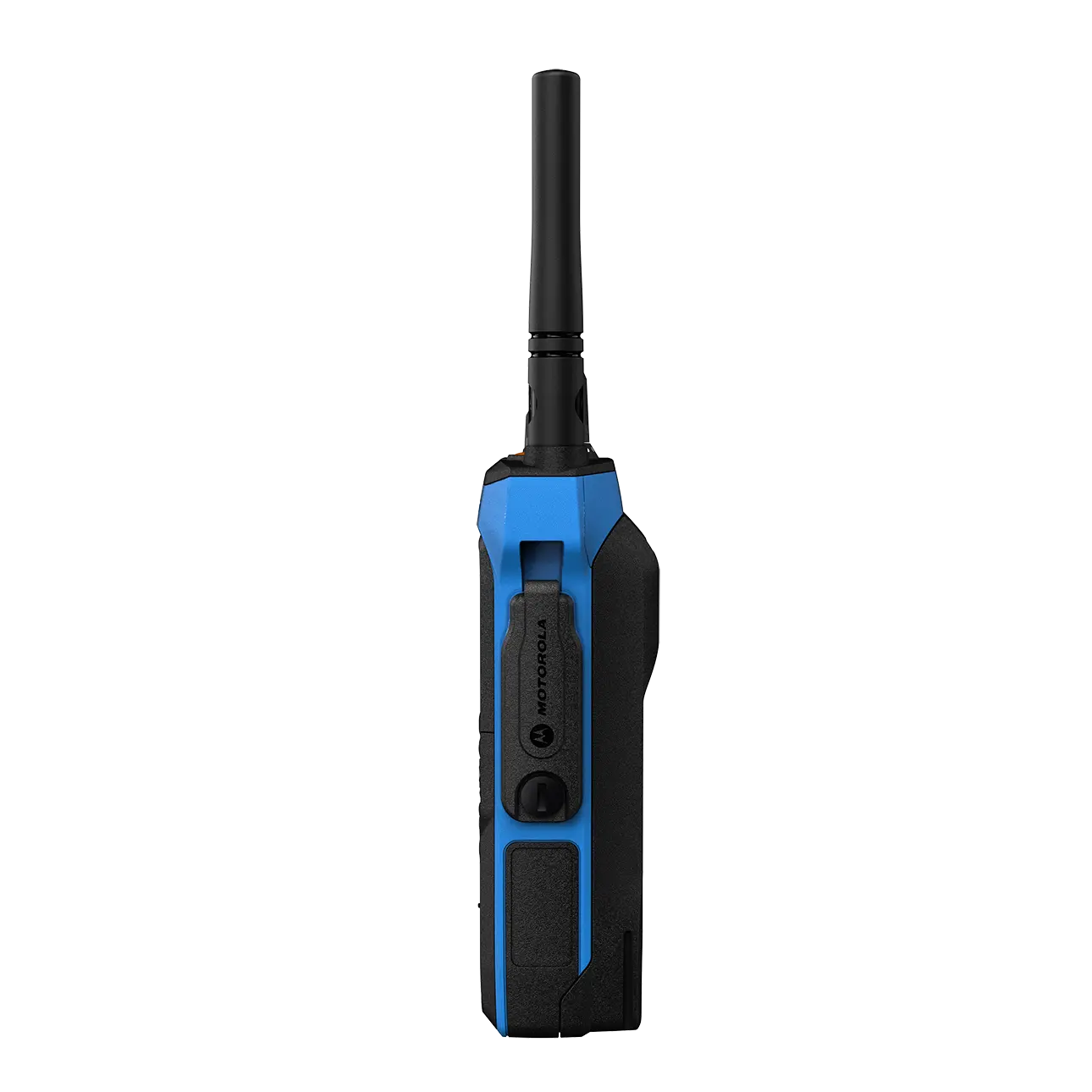 R7Ex display model right side view