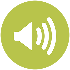 Loud and Clear Audio