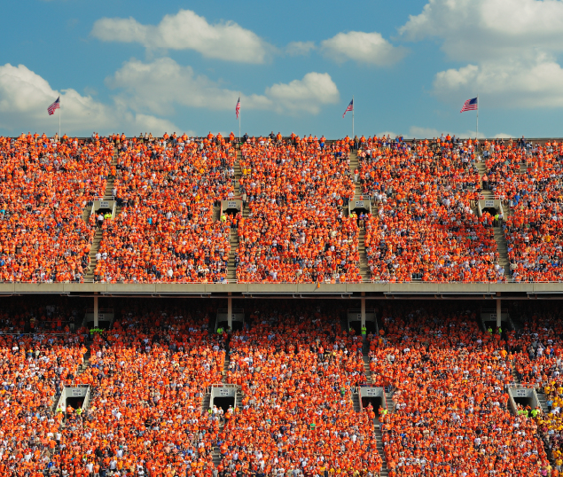 Stadium crowd cheering