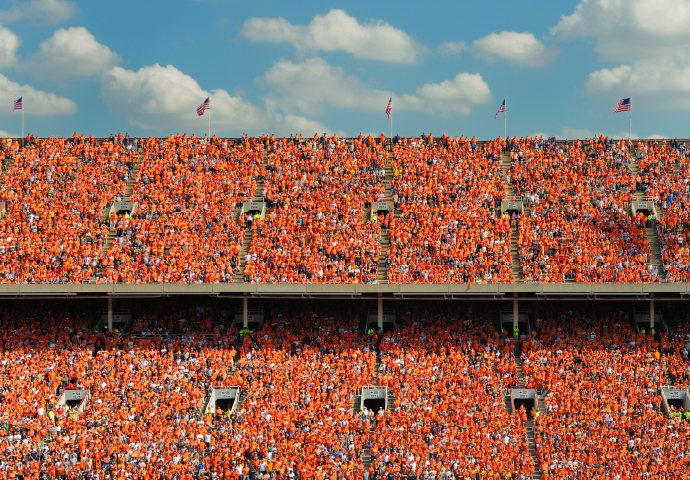 Stadium crowd cheering