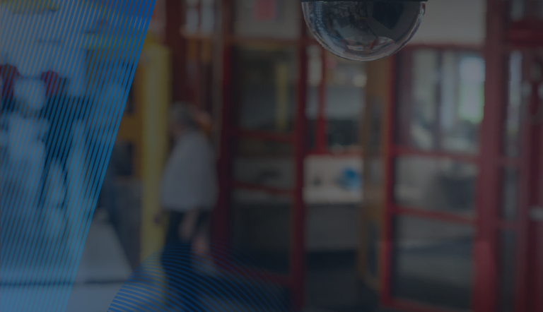 AI labels: Describing AI’s use in safety and security technologies